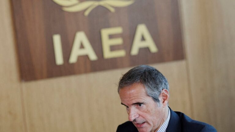 IAEA chief notes progress in Iran talks over nuclear site inspections